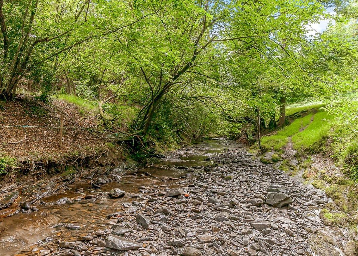 Nant-Y-Coed Lodges Mochdre  외부 사진